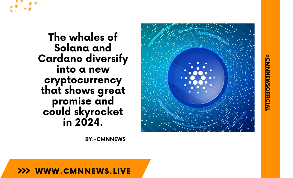 The Whales Of Solana And Cardano Diversify Into A New Cryptocurrency That Shows Great Promise And Could Skyrocket In 2024. - CMN | Latest Cryptocurrency News Today | Live Crypto Price